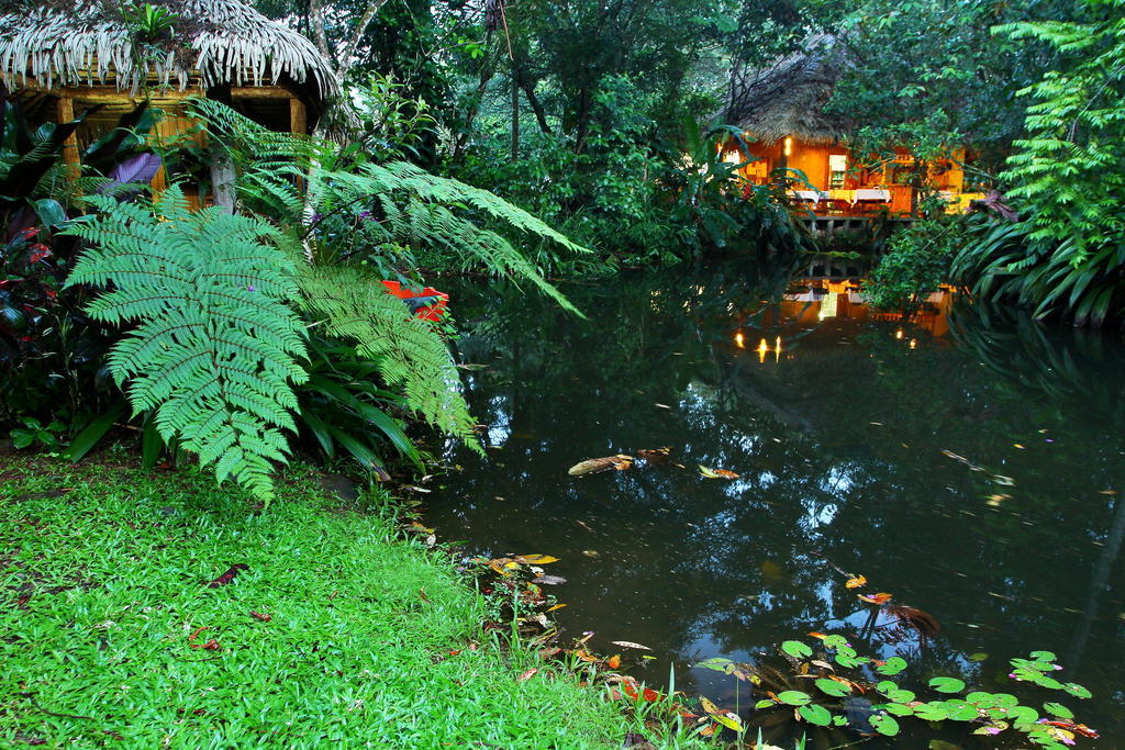 Hacienda La Isla Lodge Sarapiquí Esterno foto
