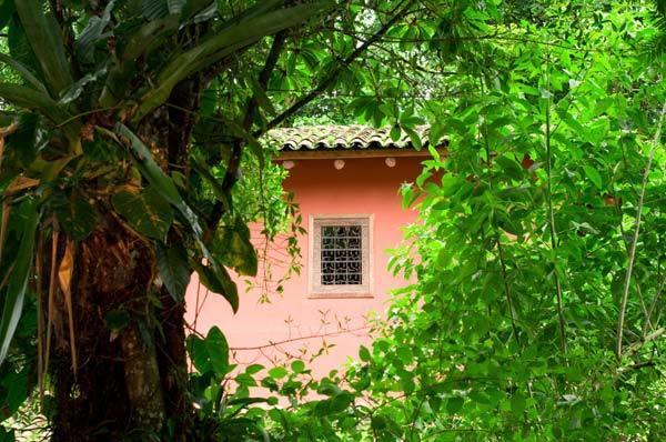 Hacienda La Isla Lodge Sarapiquí Esterno foto